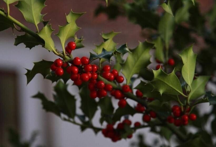 Loriga Feel Nature  Hostel