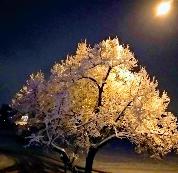 پانسیون Acopark Vendégház