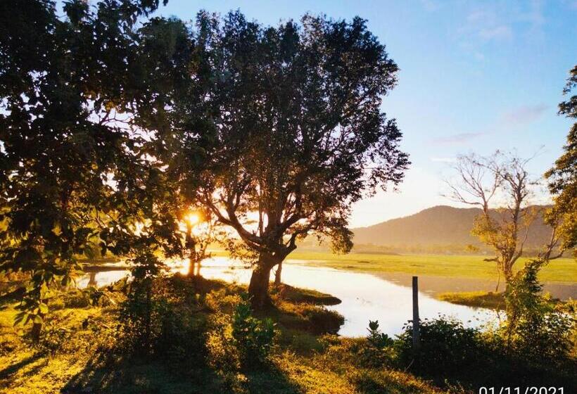 ペンション Lake Front Yala Safari