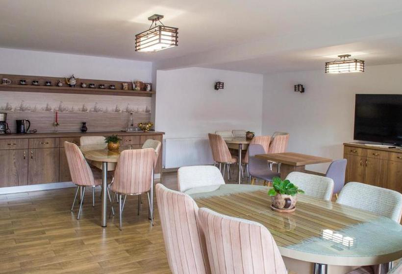 Пансион Residence Ghinita Bucovina