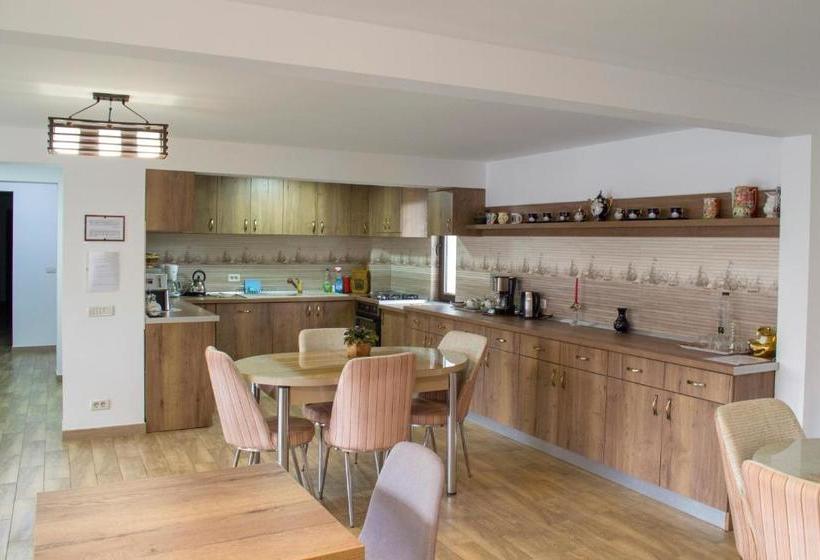 Пансион Residence Ghinita Bucovina