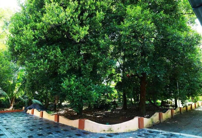 هاستل Back Packers Cochin Villa