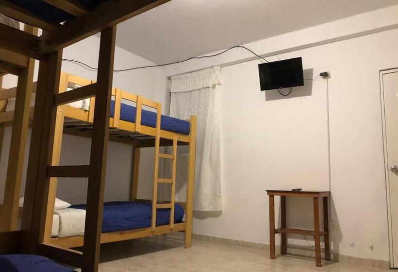 فندق صغير Buganvilia