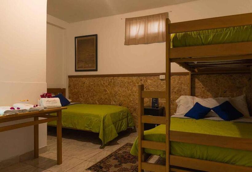 فندق صغير Buganvilia