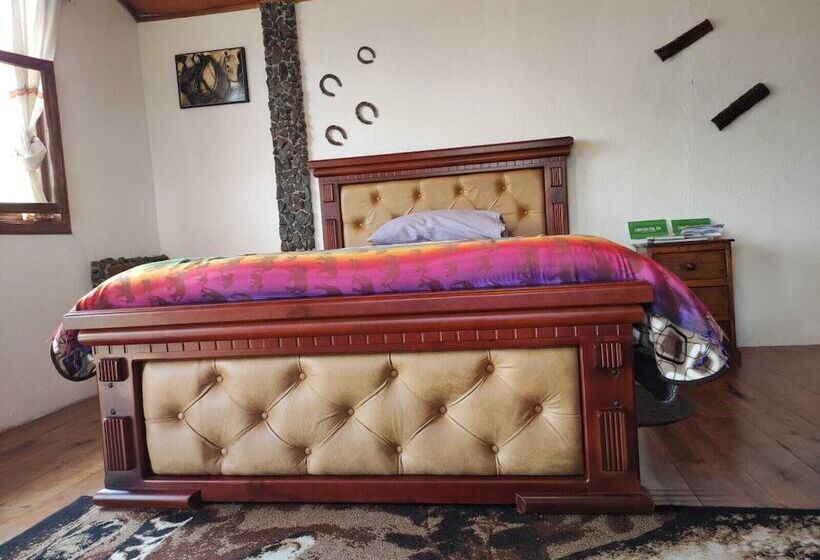 تختخواب و صبحانه Ruta De Los Volcanes