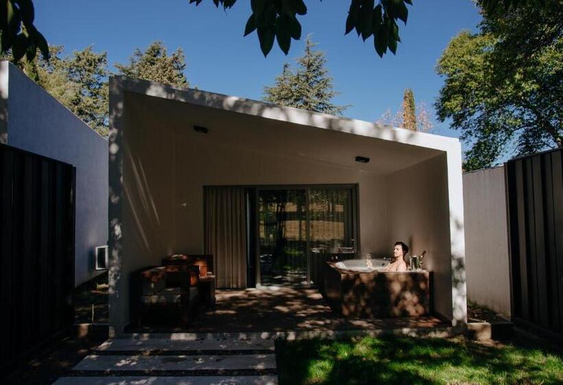 هتل Calina Casa De Huéspedes