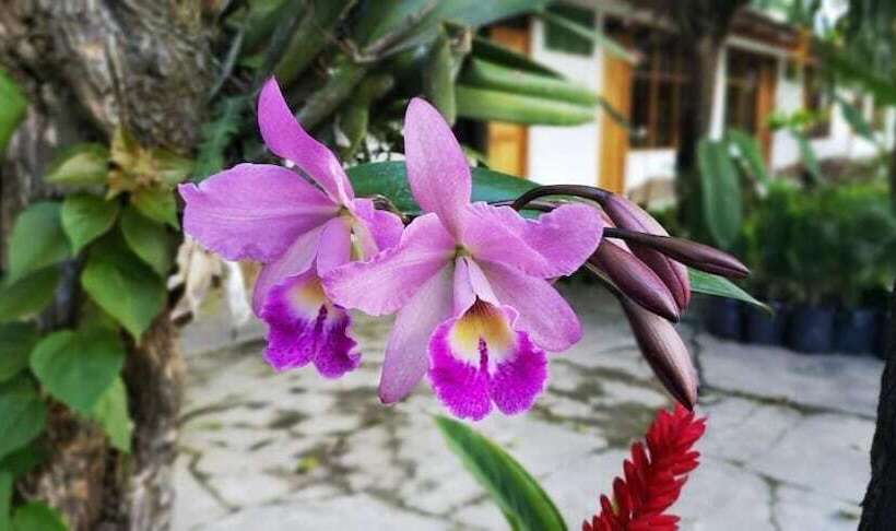 هتل Country Club Eco Casajardin