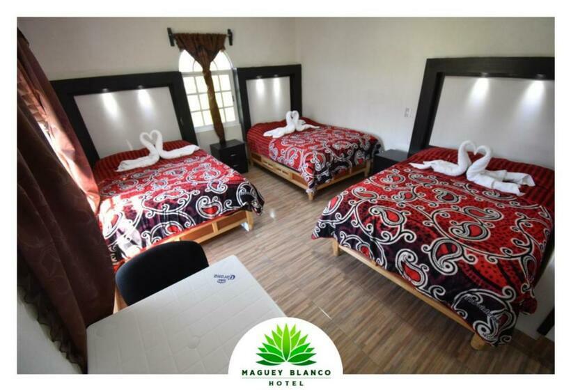 فندق Maguey Blanco