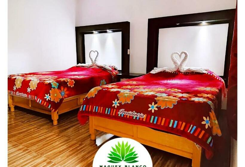 فندق Maguey Blanco
