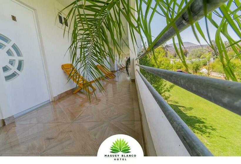 فندق Maguey Blanco
