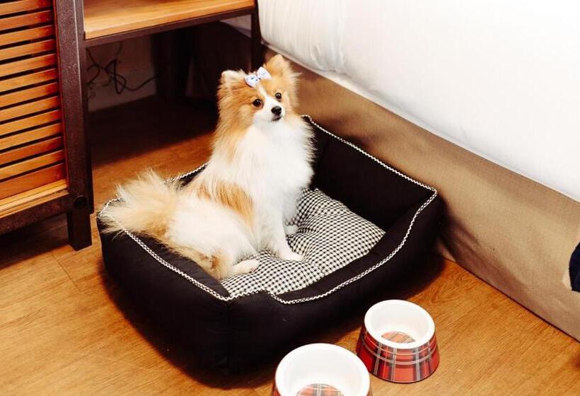 호텔 Reggia Catarina