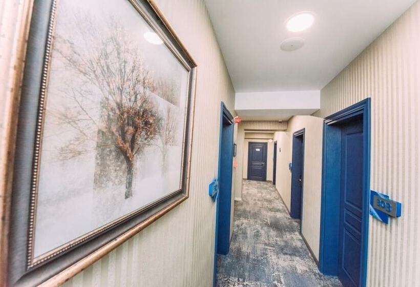 هتل Sapphire Bakuriani