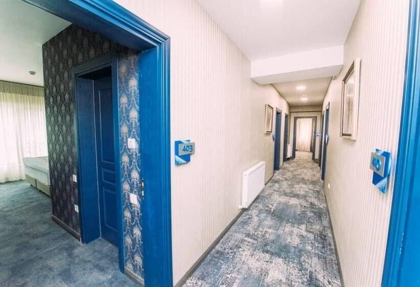 هتل Sapphire Bakuriani