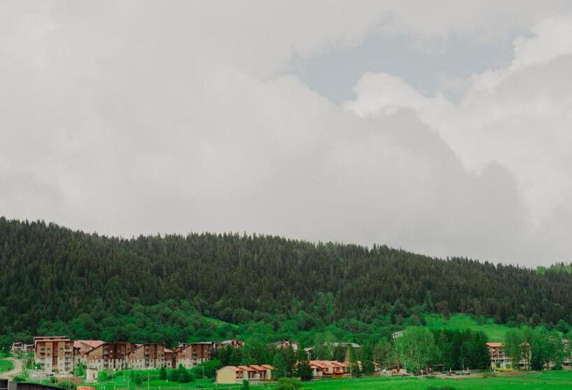 هتل Sapphire Bakuriani