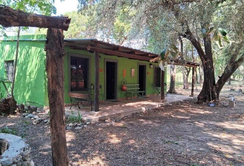 بنسيون Abuela Faustina