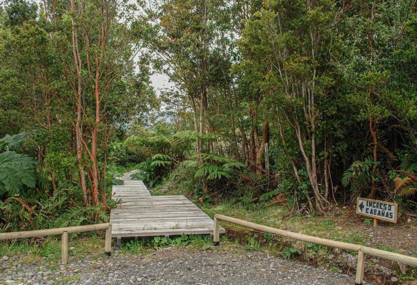 פנסיון Chucao Bosque Y Cabañas