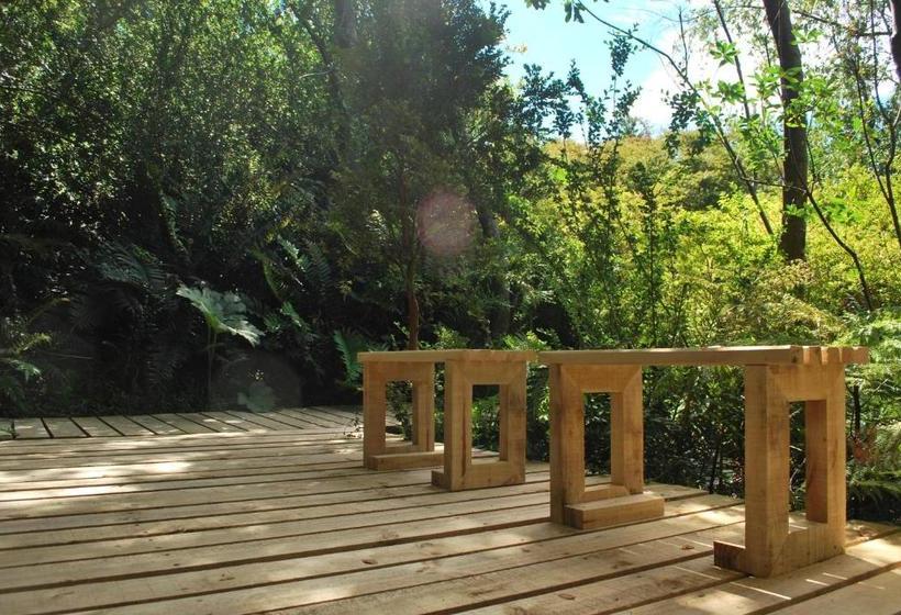 פנסיון Chucao Bosque Y Cabañas