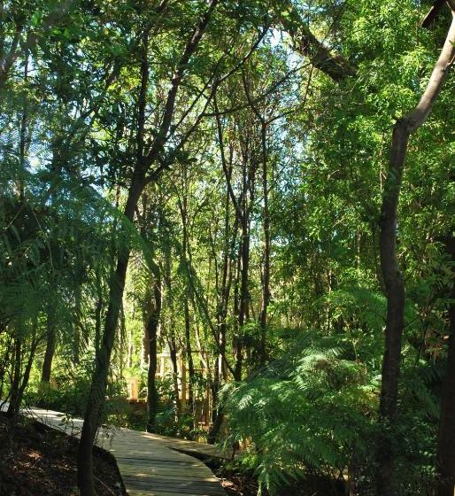 פנסיון Chucao Bosque Y Cabañas