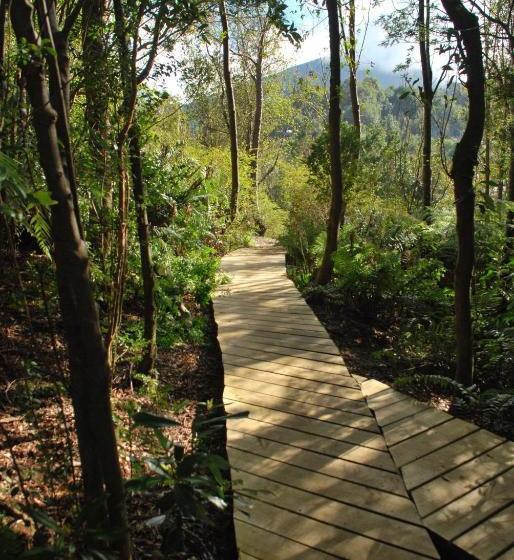 פנסיון Chucao Bosque Y Cabañas