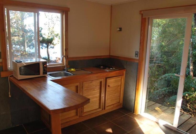 פנסיון Chucao Bosque Y Cabañas