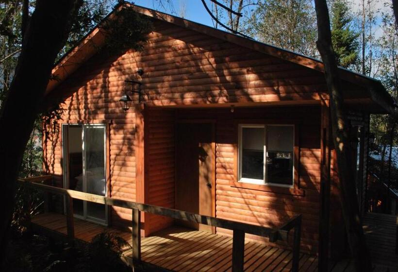 פנסיון Chucao Bosque Y Cabañas