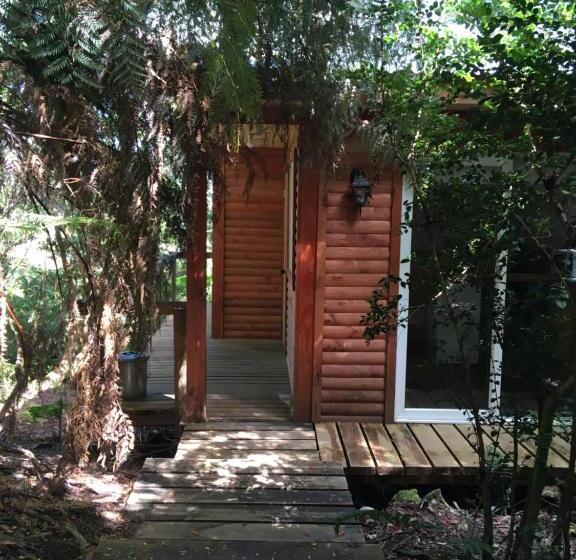 פנסיון Chucao Bosque Y Cabañas