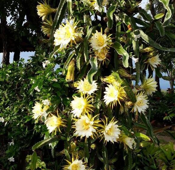 펜션 Pousada Cachoeira Poço Encantado