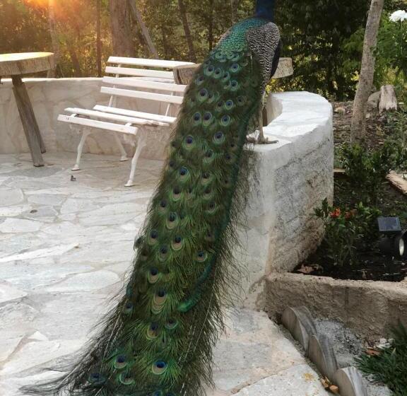 펜션 Pousada Cachoeira Poço Encantado