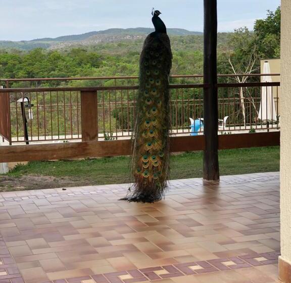 펜션 Pousada Cachoeira Poço Encantado