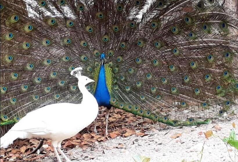 펜션 Pousada Cachoeira Poço Encantado