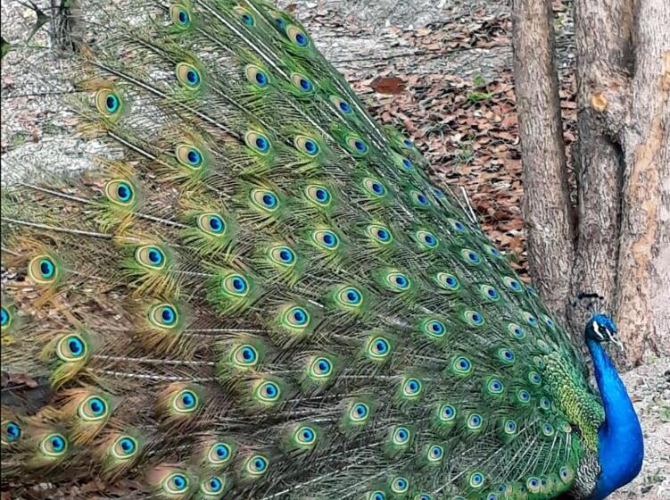 펜션 Pousada Cachoeira Poço Encantado
