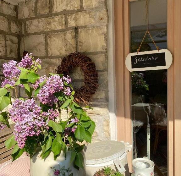 Pension Und Ferienwohnung Meixner