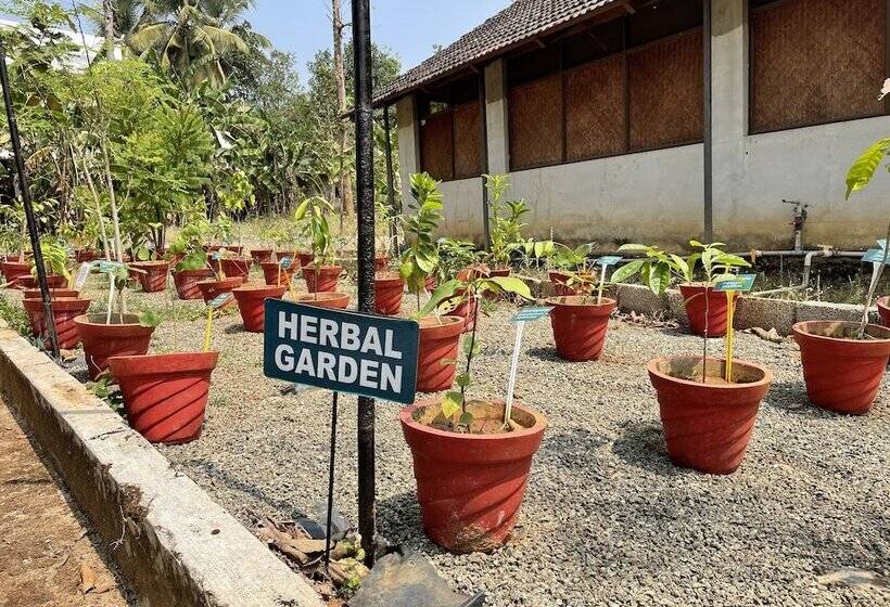 אתר נופש Ayuryogashram Heritage