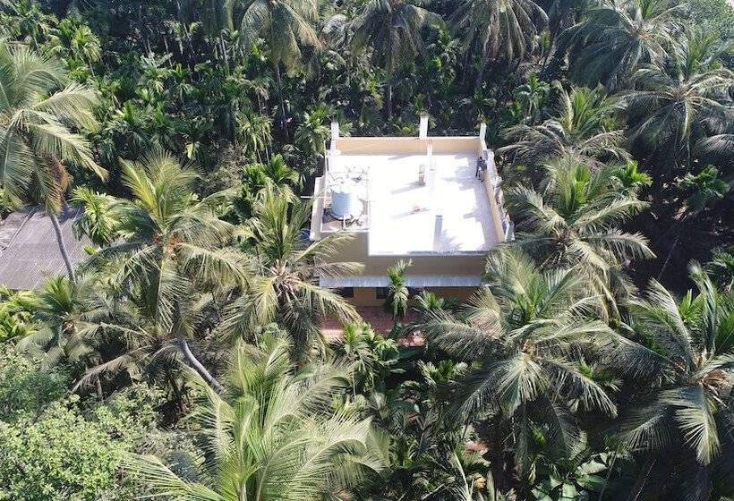 مبيت وإفطار Areca Palms