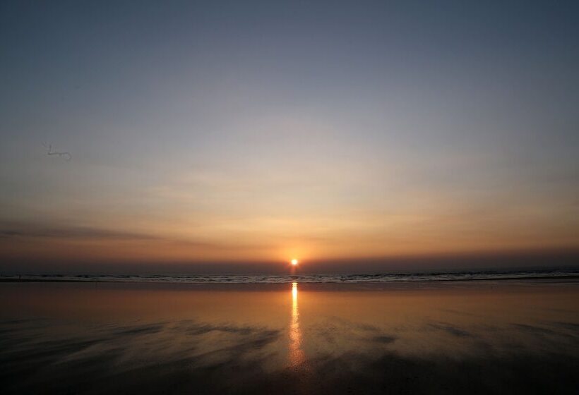 צימר Areca Palms