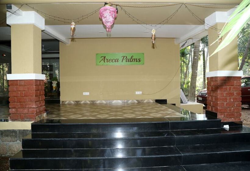 צימר Areca Palms