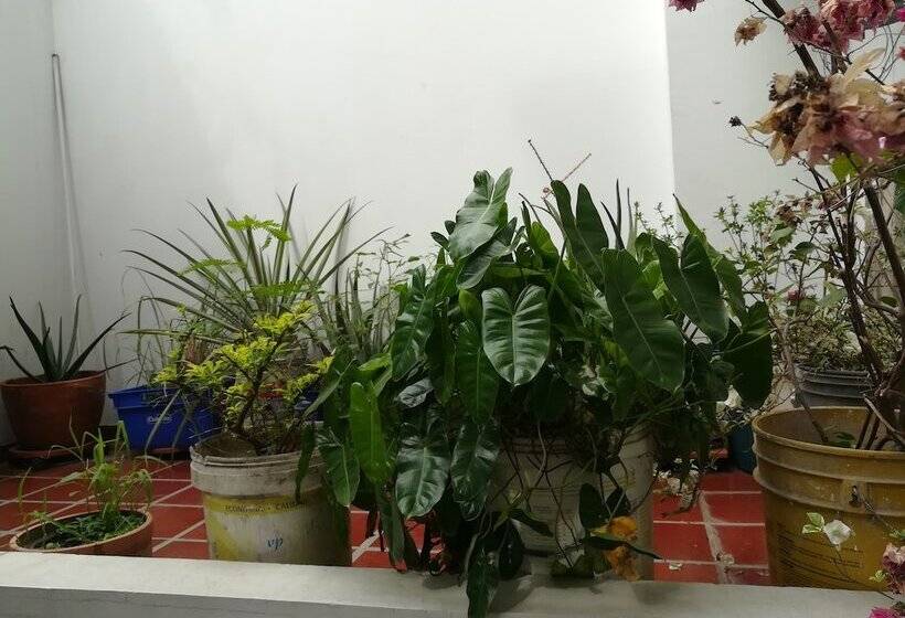 צימר La Casita Morada