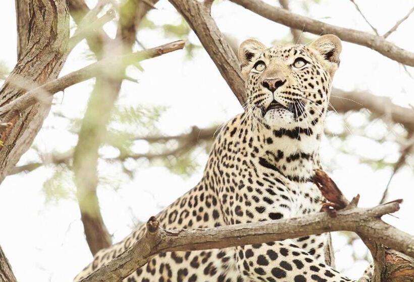 酒店 Vuyani River Lodge