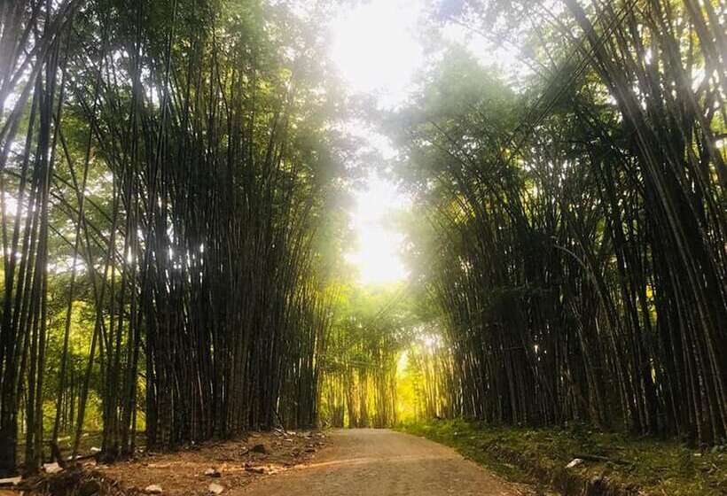 بنسيون Casa Heliconia