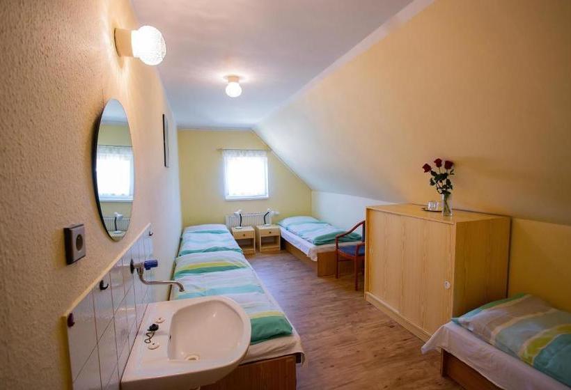 膳宿费 Penzion Star Doksy