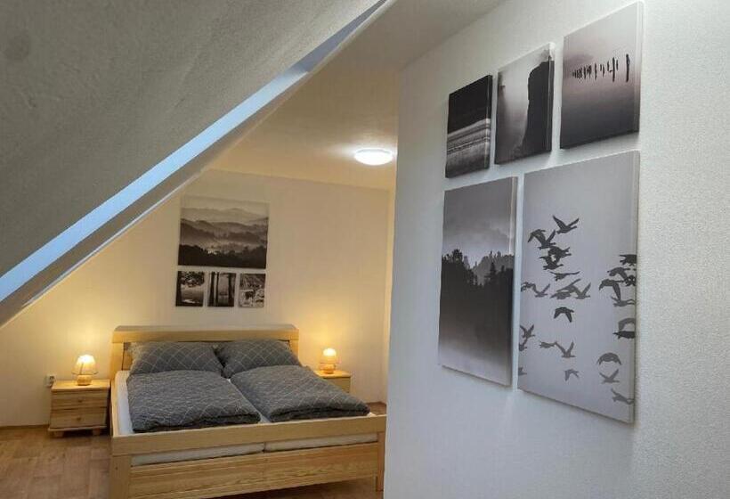 膳宿费 Penzion Star Doksy