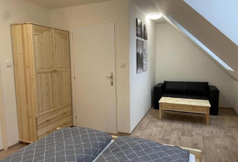 膳宿费 Penzion Star Doksy