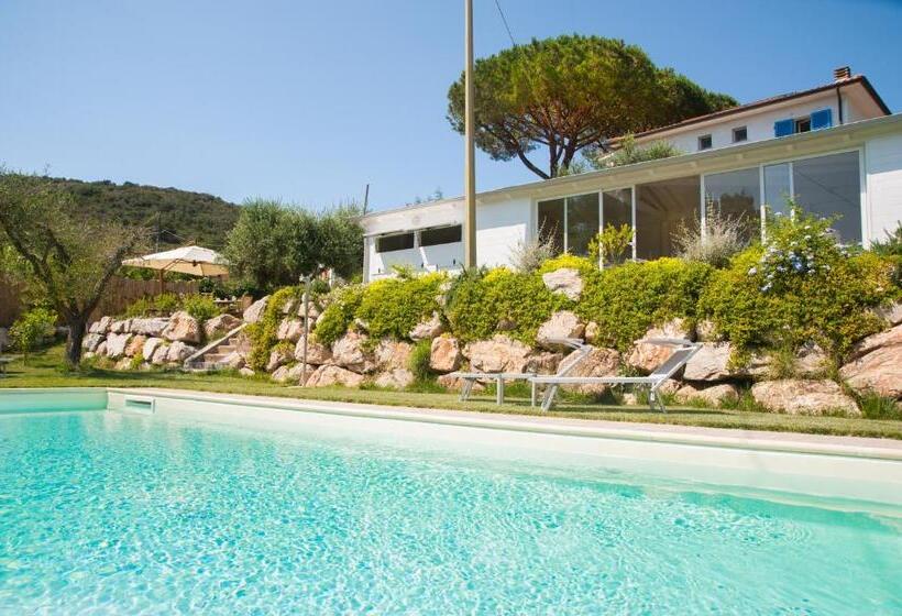 B&b La Casa Degli Ulivi