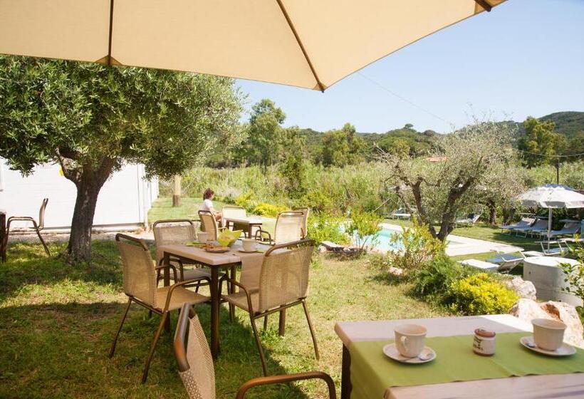 B&b La Casa Degli Ulivi