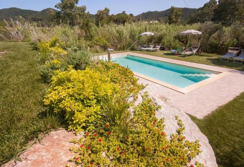 B&b La Casa Degli Ulivi