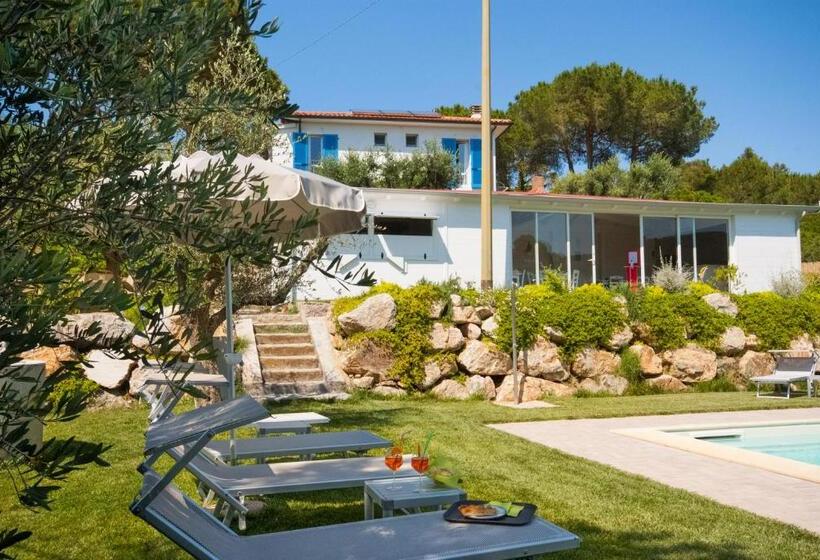 B&b La Casa Degli Ulivi