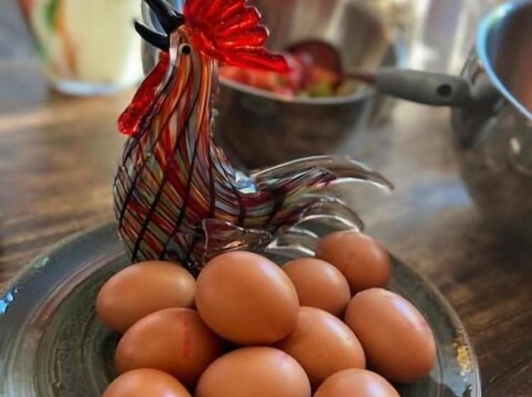 צימר Hostellerie Horst