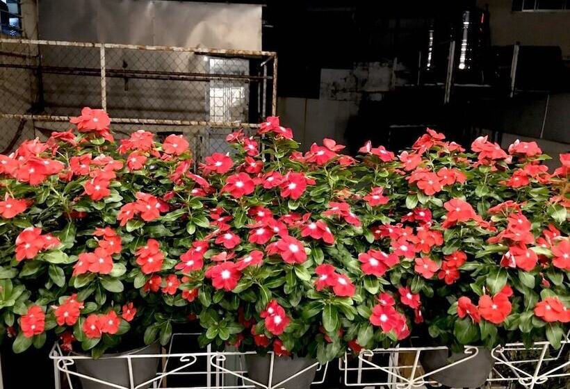 تختخواب و صبحانه Louis Hotel   Bui Vien Walking Street