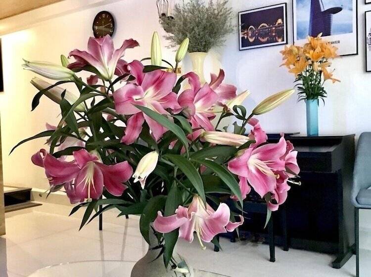 تختخواب و صبحانه Louis Hotel   Bui Vien Walking Street