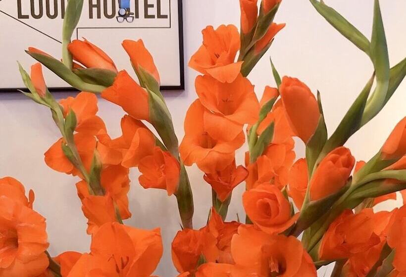 تختخواب و صبحانه Louis Hotel   Bui Vien Walking Street